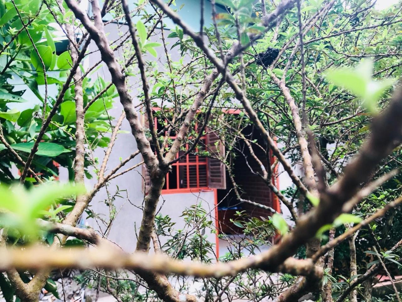 Ferienwohnung Mekong Rustic Cái Bè Exterior foto